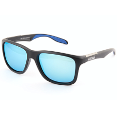 Polarized sunglasses NORFIN 03